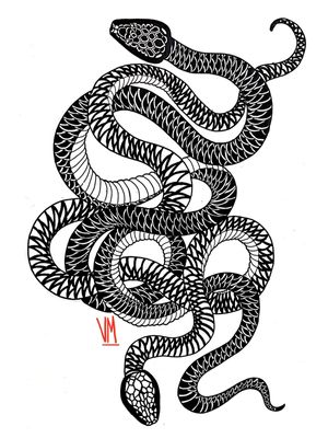 TRAÇA DE COBRAS