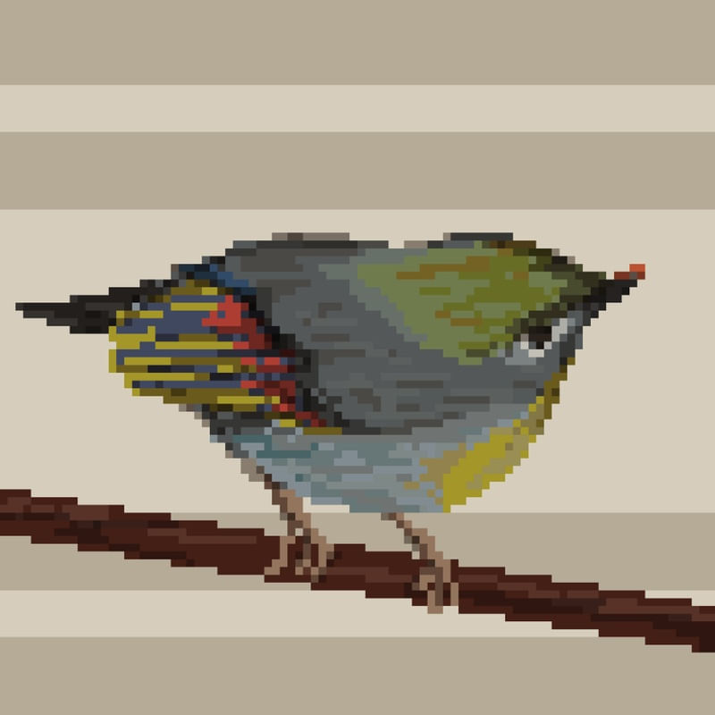 OUTONO EM PIXELS 1 - PÁSSARO