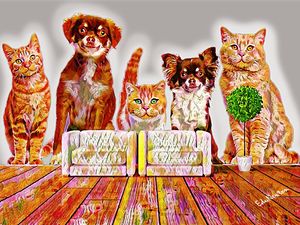 GATINHOS E CACHORRINHO ALEGRES NA SALA