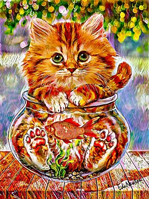 GATINHO E PEIXINHO NO AQUÁRIO