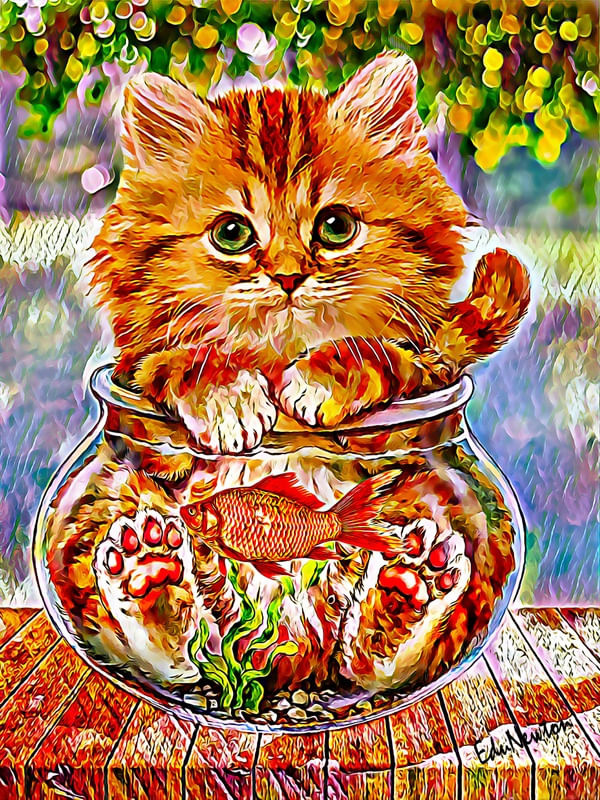 GATINHO E PEIXINHO NO AQUÁRIO