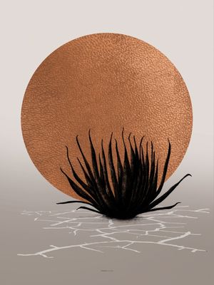 FÔLEGO N.133