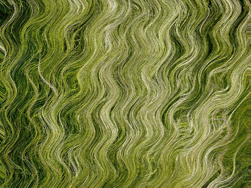 VÁRIOS TONS DE VERDE