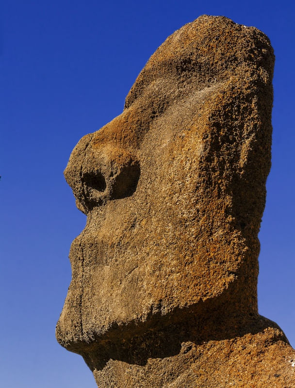 MOAI IMG_8792