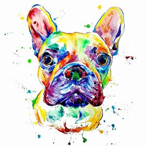 COLORFUL DOG , PAINTER MARKETA KOSKINEN