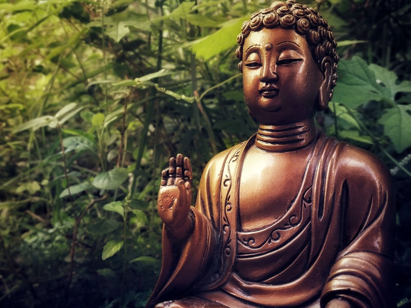 ESTATUA DE BUDA NA FLORESTA 3