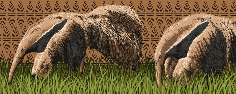 TAMANDUÁS BANDEIRA
