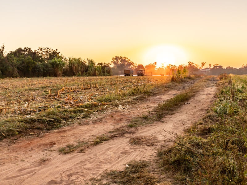 FAZENDA COM ESTRADA RURAL COM PLANTAÇÃO E MÁQUINAS AO AMANHECER