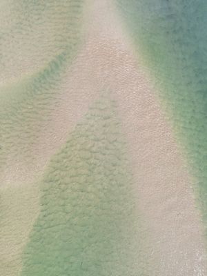 ÁGUAS DO MANGUE - DÍPTICO 2/2