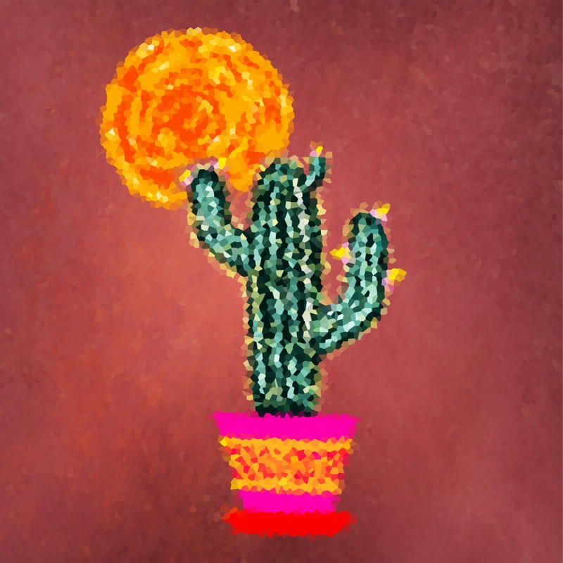 CACTUS CRISTAL 3 ES