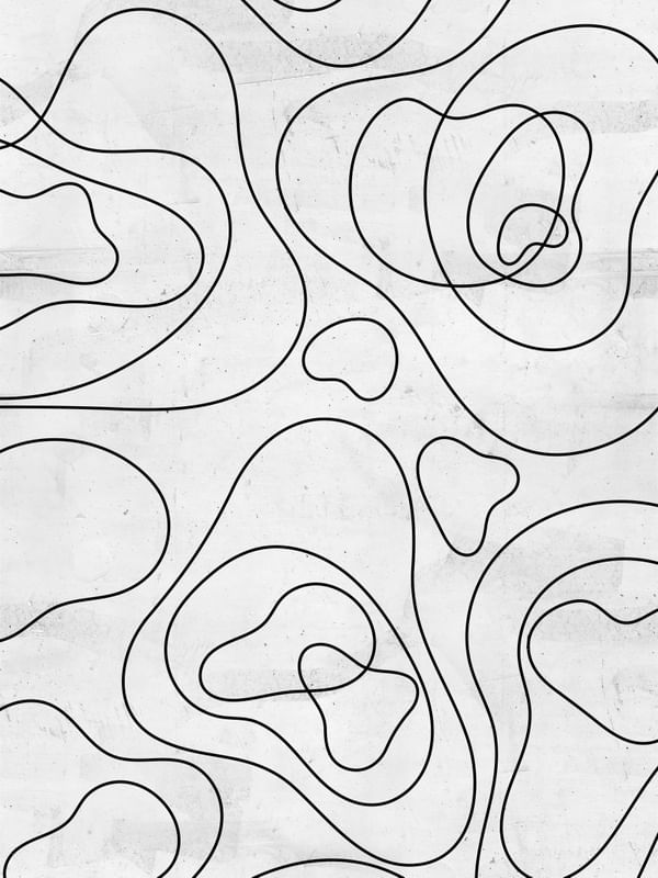 REDRAWING BURLE MARX ON WHITE X