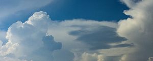 NUVENS 231