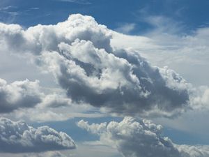 NUVENS 332