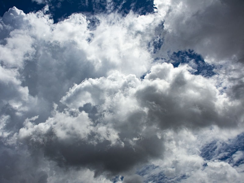 NUVENS 174