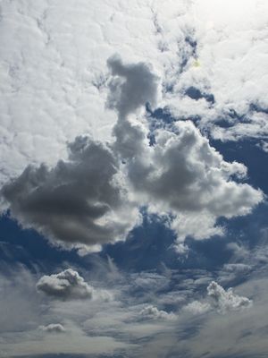 NUVENS 992