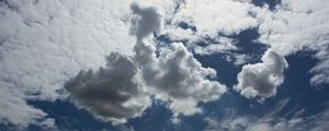 NUVENS 784
