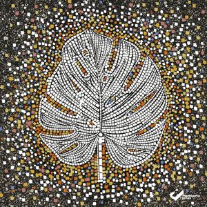 COSTELA-DE-ADÃO MOSAICO GGEOMÉTRICO