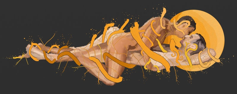 SERPENTES (BODIES #051)