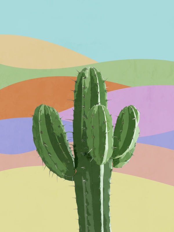 COLORFUL CACTUS 1