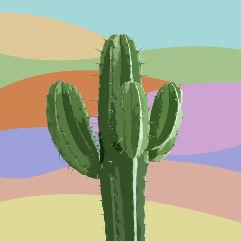 COLORFUL CACTUS 2