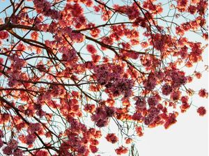 NATUREZA E CÉU