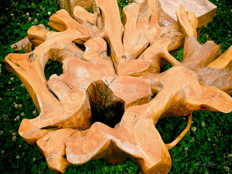 BRAZILIAN NOBLE WOOD