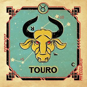 HV_SIGNOS_TOURO