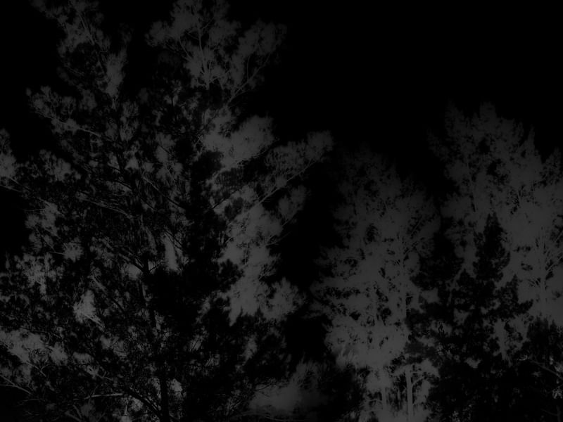 SILVER DARK FOG 3