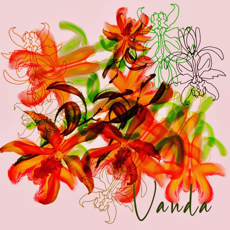 VANDA