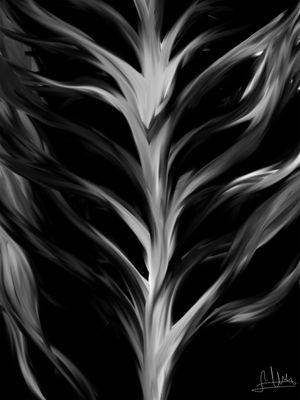 SOMBRA 6