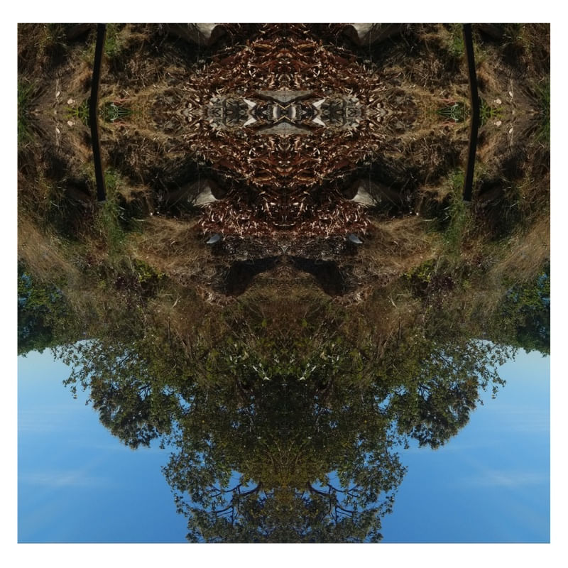 RIODOSPEIXES