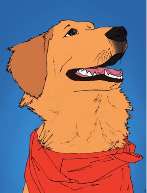 GOLDENRETRIEVER