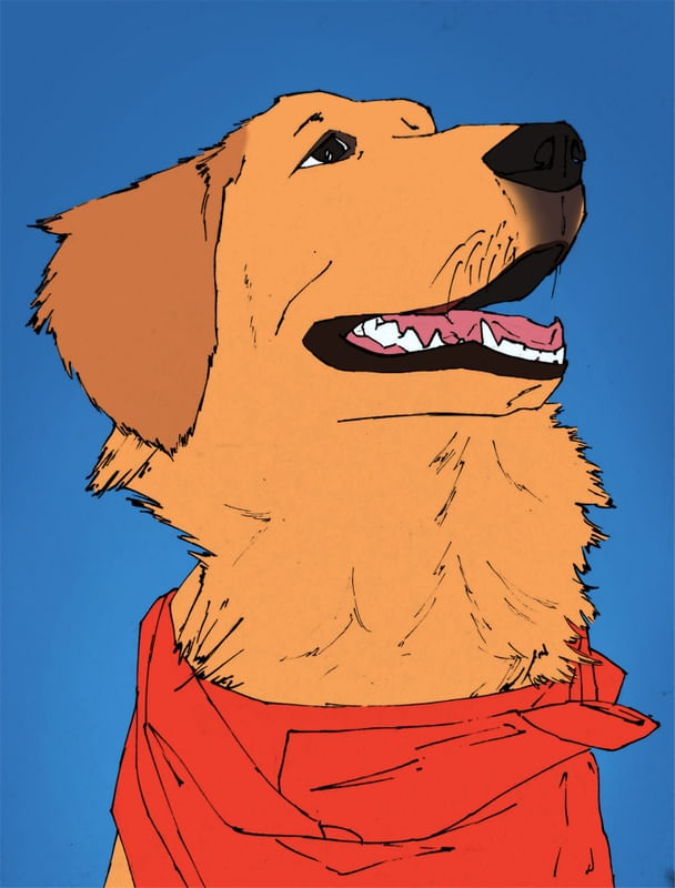 GOLDENRETRIEVER