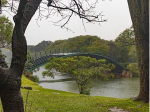 PONTE NO PARQUE