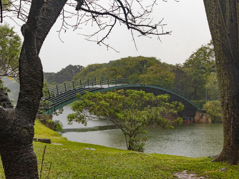 PONTE NO PARQUE