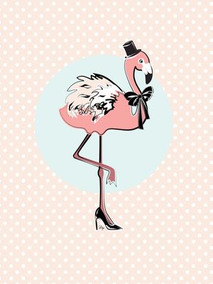 MEU FLAMINGO