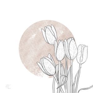 TULIPA MINIMAL