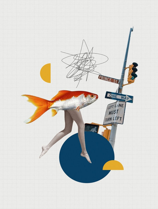 COLAGEM ONE WAY FISH