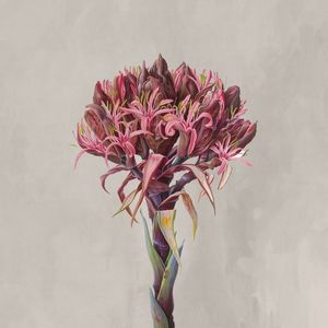 RARE FLOWERS 6