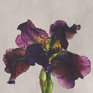 RARE FLOWERS 8