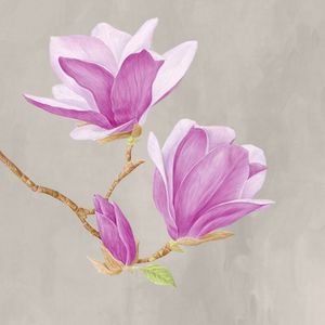 RARE FLOWERS 13