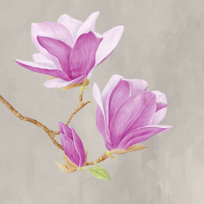 RARE FLOWERS 13