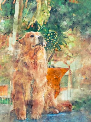 GOLDEN RETRIEVER ART