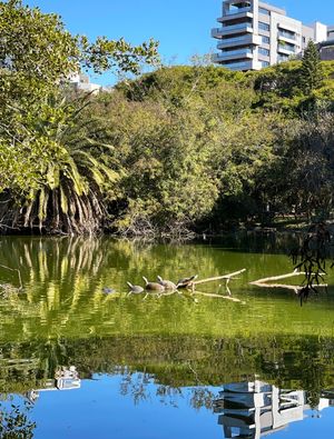 BANHO DE SOL NO PARQUE MOINHOS DE VENTO - PORTO ALEGRE
