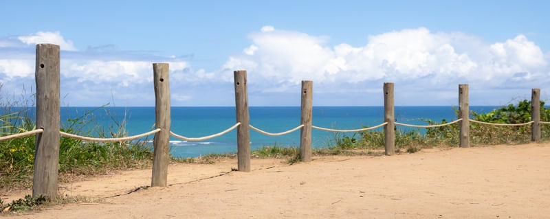 BAHIA 8