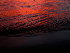 RED SEE
