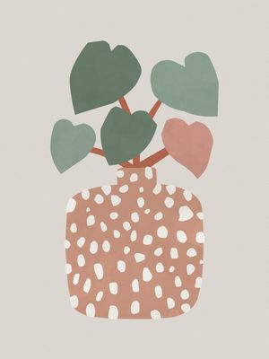 TERRAZZO & HEART PLANT