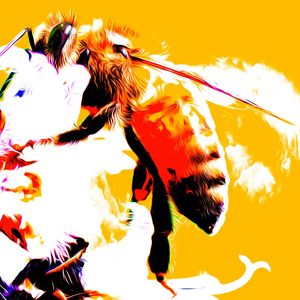 SWEET BEE