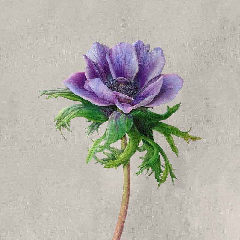 RARE FLOWERS 12