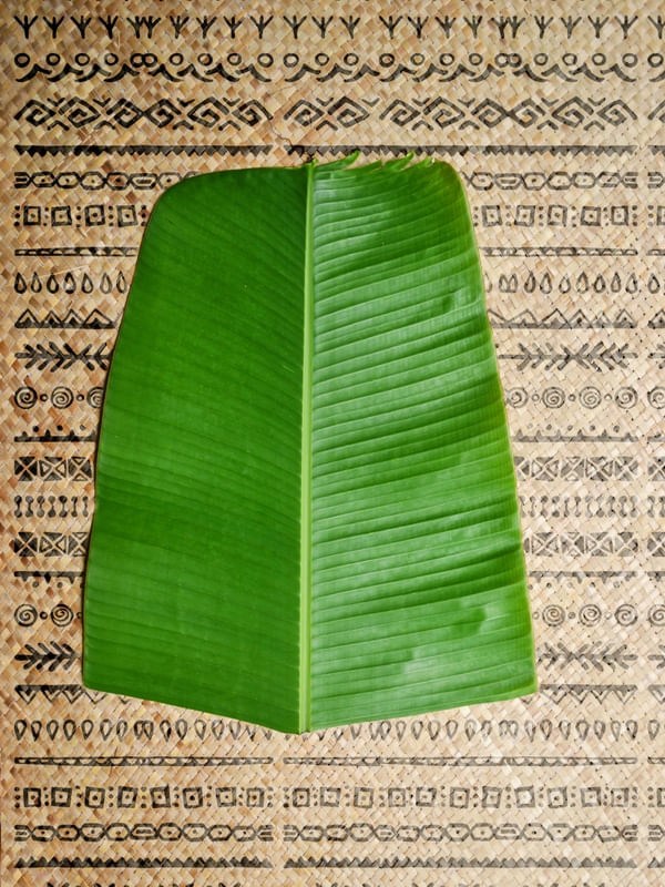 TRIBAL BANANEIRA